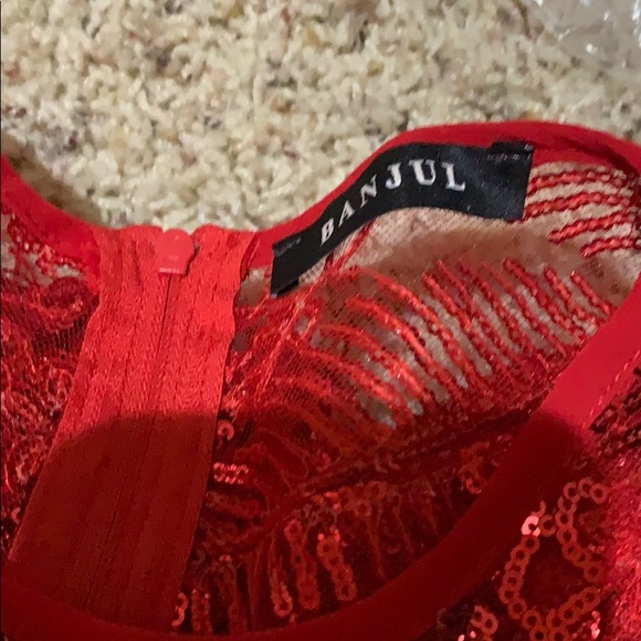 Sequin and Fringe Dress - Picture 3 of 4